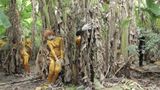 Trong rung chuoi by Quynh Dong contemporary artwork moving image sculpture
