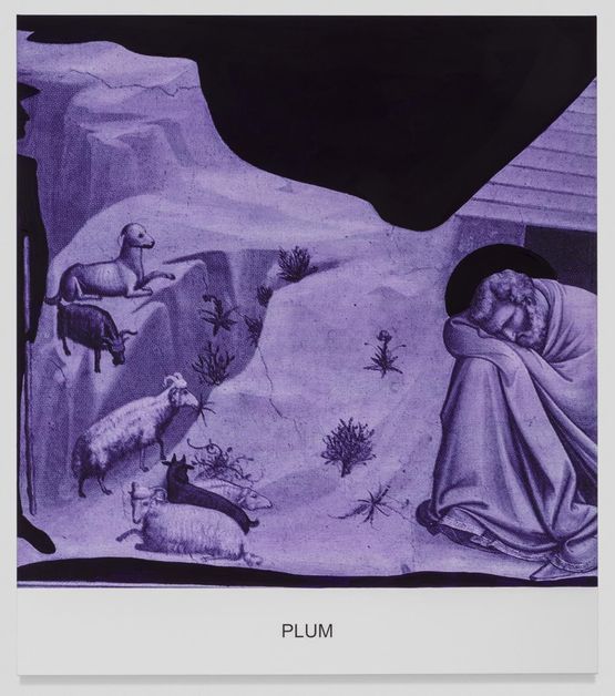 The Purple Series Plum by John Baldessari contemporary artwork Mixed Media