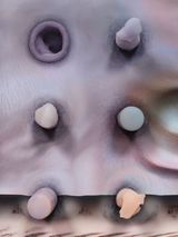 skin-fur-mesh by Tishan Hsu contemporary artwork painting print