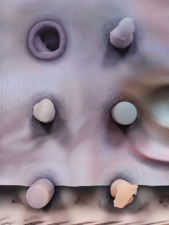 skin-fur-mesh by Tishan Hsu contemporary artwork Painting
