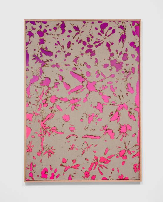 Luminous Flux by Samantha Thomas contemporary artwork Painting