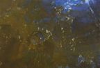 Untitled No. 1 by Xie Nanxing contemporary artwork Painting