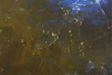 Untitled No. 1 by Xie Nanxing contemporary artwork painting