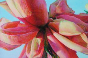 Group Exhibition