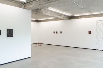 Contemporary art exhibition Tyne Gordon Suntrap at Jhana Millers Wellington New Zealand