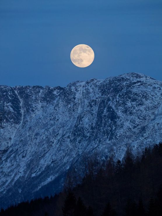 Moonrise by Catherine Opie contemporary artwork Print