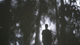 Self-Protraite Shadows by Apichatpong Weerasethakul contemporary artwork photography