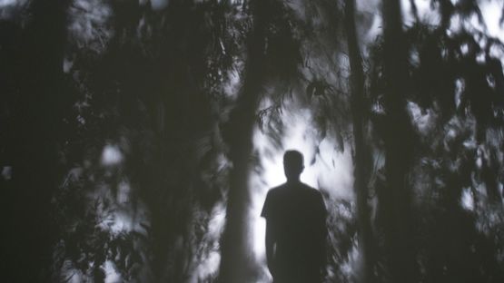 Self-Protraite Shadows by Apichatpong Weerasethakul contemporary artwork Photography