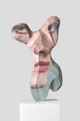 Torso Lady James by Nick Hornby contemporary artwork drawing painting works on paper
