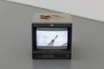 Autumn Breeze by Li Liao contemporary artwork Moving Image