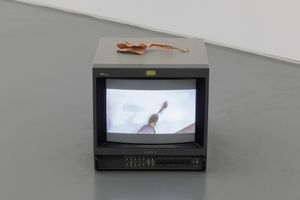 Li Liao