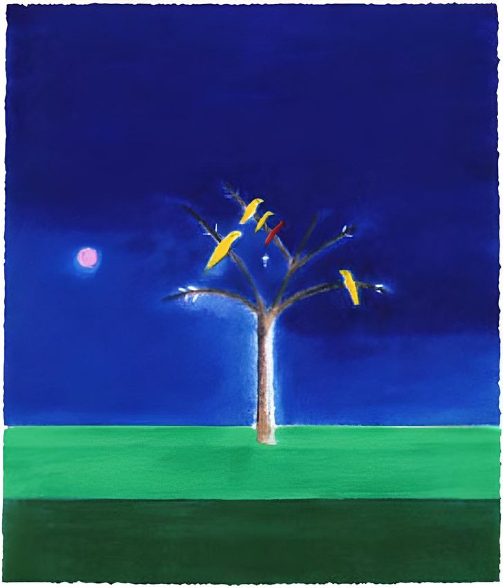 CRAIGIE AITCHINSON