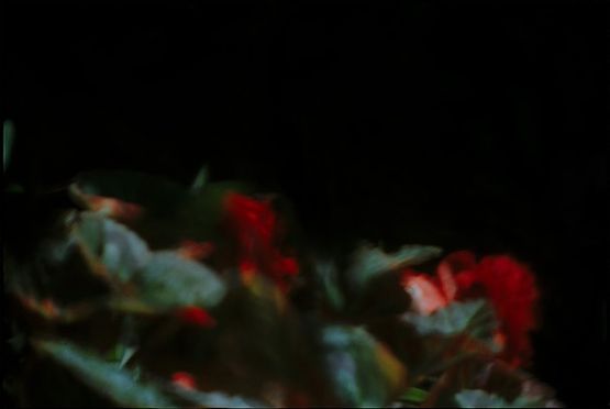 Untitled 3 by Bill Henson contemporary artwork Photography