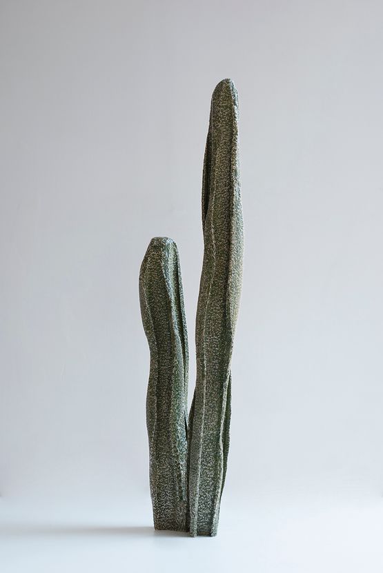 Cactoid I by An Te Liu contemporary artwork Sculpture