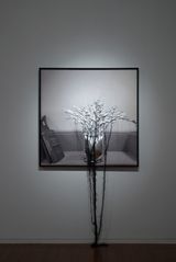 rothwellofficeplants jimmy_court by Caroline Rothwell contemporary artwork painting