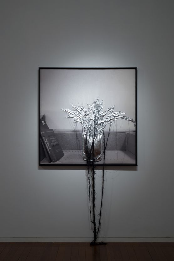 rothwellofficeplants jimmy_court by Caroline Rothwell contemporary artwork Painting