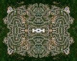 The Garden Revisited by Clay Ketter contemporary artwork photography