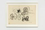 Untitled zborul  Untitled the flight by Stefan Bertalan contemporary artwork drawing works on paper