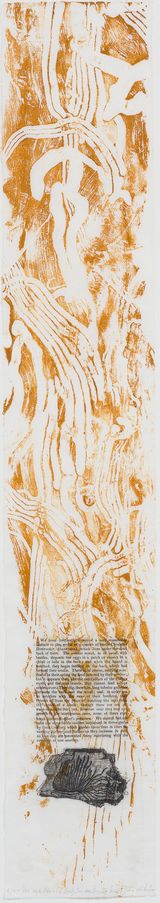 101 Insect Life Stories No 16. Scolytus Destructor Beetle by John Wolseley contemporary artwork print