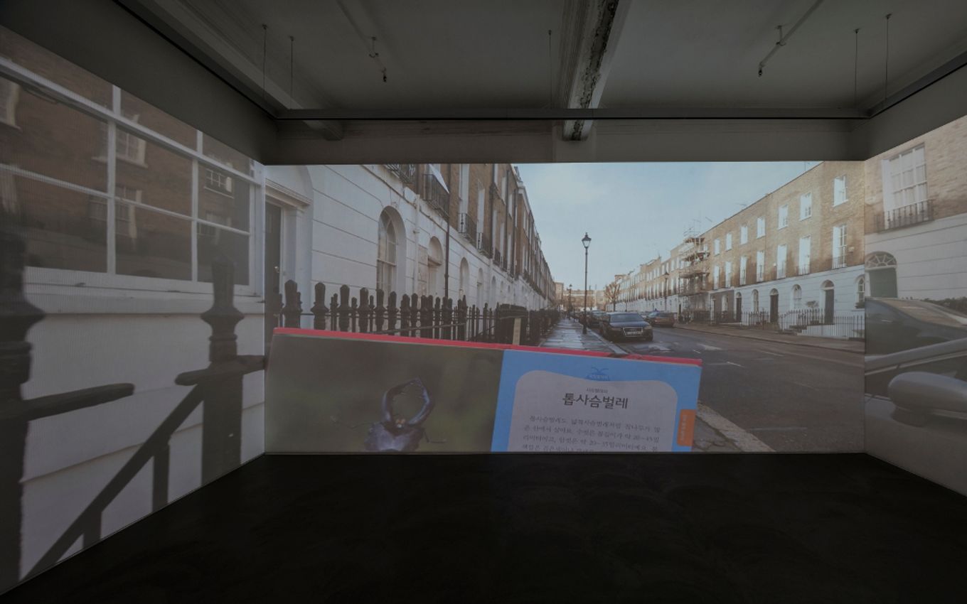 Do Ho Suh