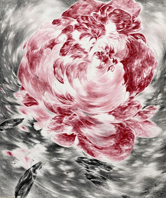 untitled rose by Julia Steiner contemporary artwork Works on Paper
