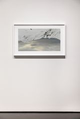 skyground 5 by Rosemary Laing contemporary artwork print