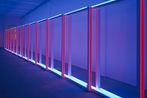 Dan Flavin contemporary artist