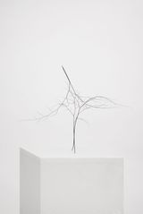 Espaco Avenca by Daniel Steegmann Mangrane contemporary artwork sculpture