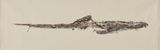 Naga Doodles 40-5 Malayan python by Simryn Gill contemporary artwork drawing works on paper