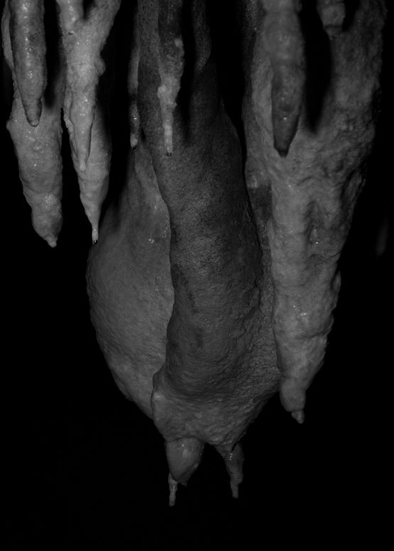 The Body of Condonement No.13 by Yamashiro Chikako contemporary artwork Photography