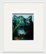Fishermans Friend by Joao Maria Gusmao contemporary artwork photography