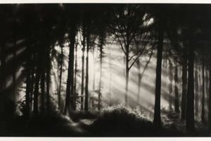 Robert Longo