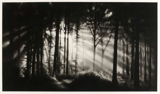 In the Garden Et in Arcadia Ego by Robert Longo contemporary artwork Print