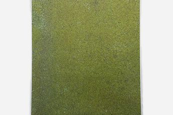 Soon-Hak Kwon contemporary artist