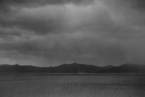 Mark Adams