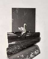 Swan Lake From the series Mountain by Lucia Tallova contemporary artwork painting photography print works on paper