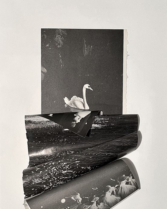 Swan Lake From the series Mountain by Lucia Tallova contemporary artwork Painting