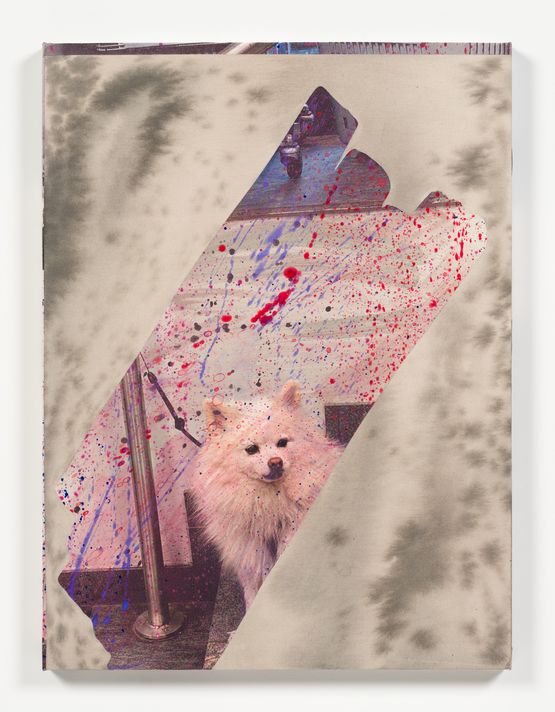 Dos and Donts - Fancy on a Fence by Camille Henrot contemporary artwork Painting