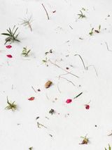 Untitled from the series Faraway so close by Heeseung Chung contemporary artwork print