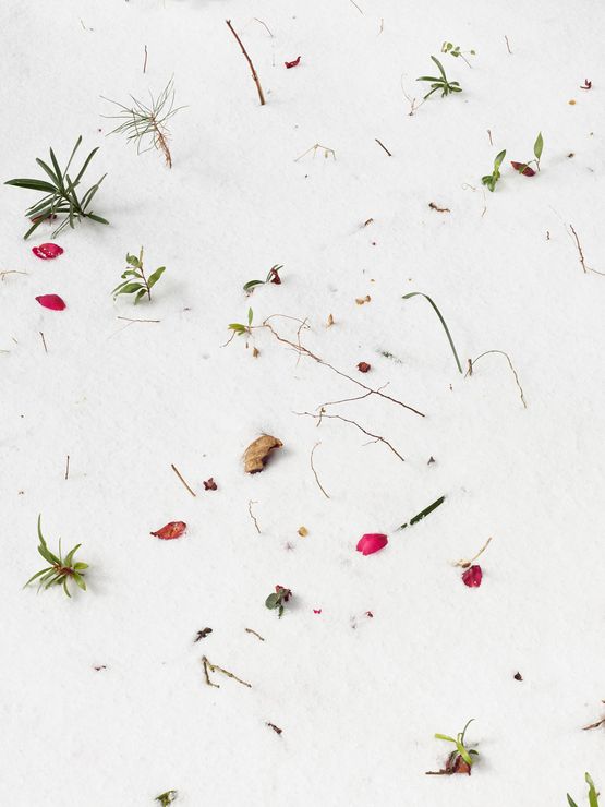 Untitled from the series Faraway so close by Heeseung Chung contemporary artwork Print