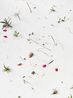 Untitled from the series Faraway so close by Heeseung Chung contemporary artwork Print