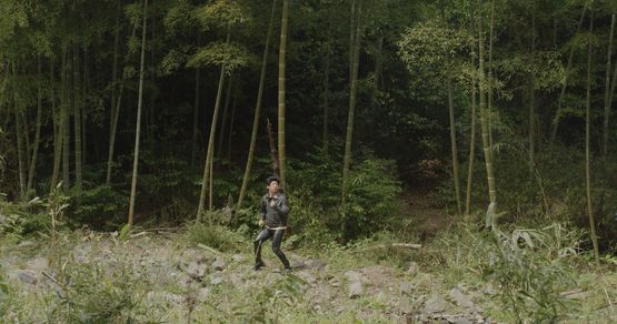 Swaying is kind by Atsushi Yamamoto contemporary artwork Moving Image