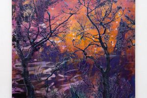 Elizabeth Magill