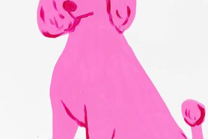 David Shrigley