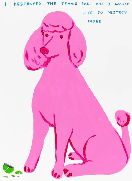 I destroyed the tennis ball by David Shrigley contemporary artwork Print