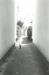 Funabashi Story by Kazuo Kitai contemporary artwork photography