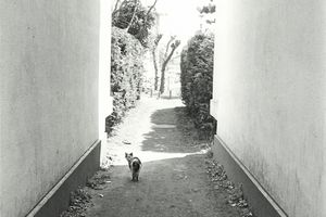Kazuo Kitai