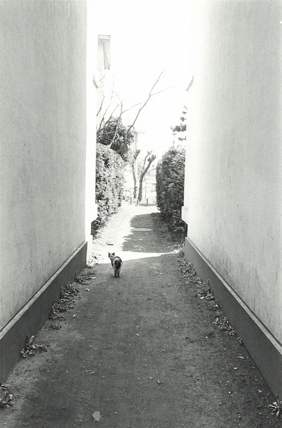 Funabashi Story by Kazuo Kitai contemporary artwork Photography