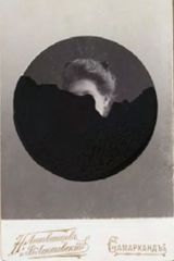 Black portrait by Lucia Tallova contemporary artwork mixed media painting photography works on paper