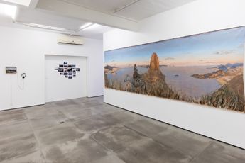 Contemporary art exhibition Alberto Baraya Estudios Comparados de Paisaje at Galeria Nara Roesler Rio de Janeiro Brazil